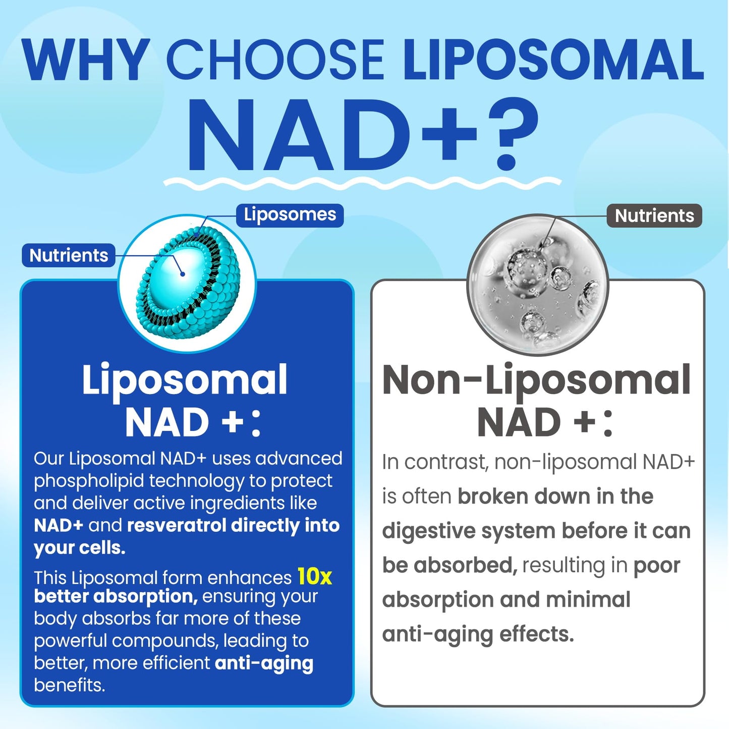 Liposomal NAD+ Gummies for Energy, Aging Defense & DNA Repair – 60 Count