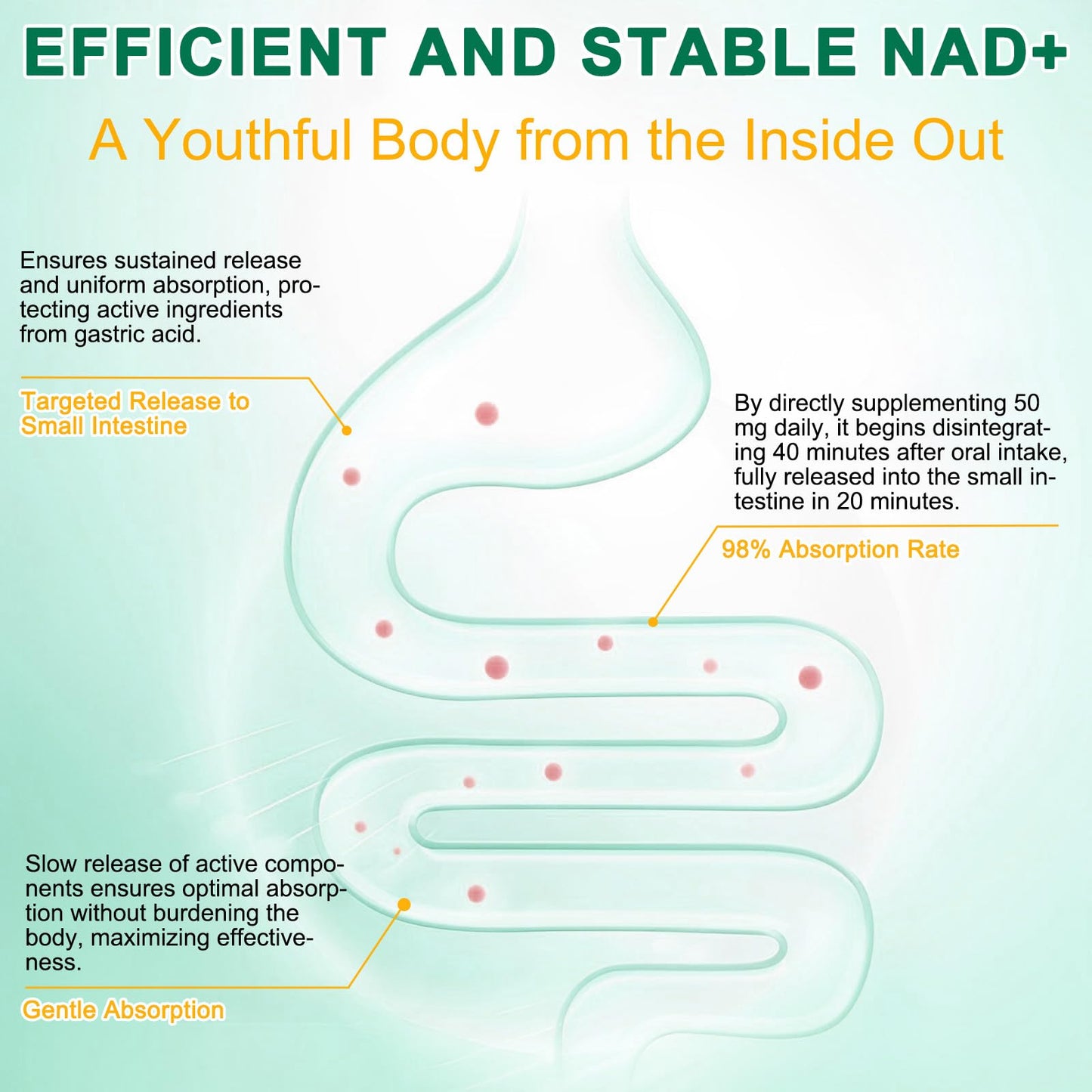 NAD+ Supplement 120 Capsules – Liposomal NR, Resveratrol & Quercetin | Anti-Aging & Cellular Regeneration