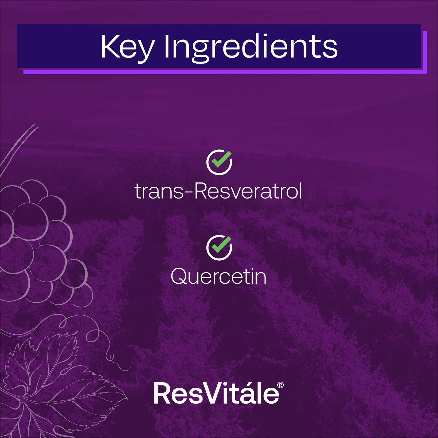 ResVitále Resveratrol 250 mg - 120 Veggie Capsules | Longevity