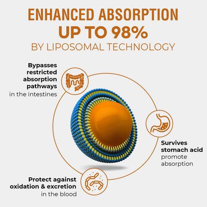 57,000 MG Liposomal Rhodiola Rosea with Ashwagandha – Liquid 120 ml | High Absorption, Vegan & Sugar/Gluten-Free