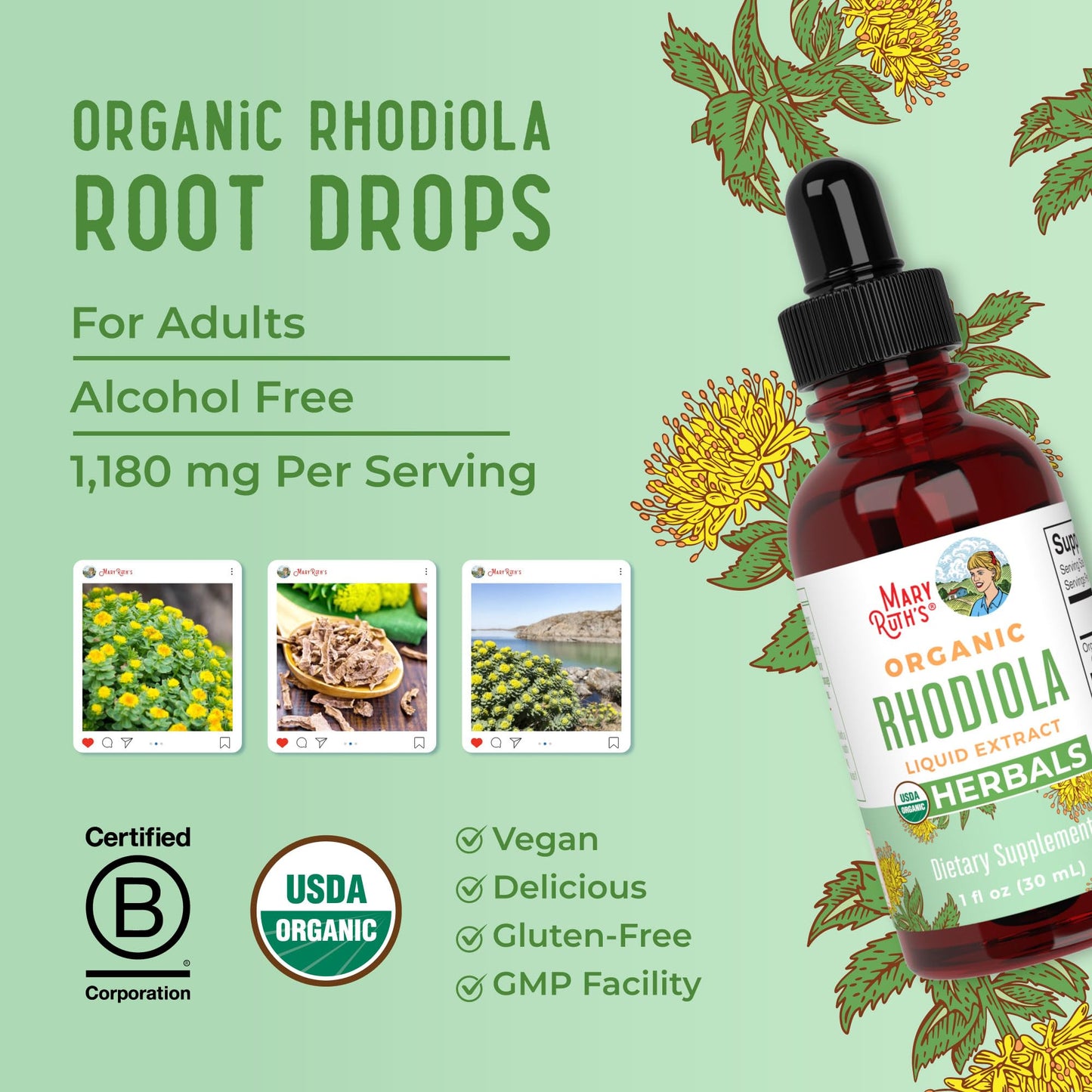 Rhodiola Rosea Supplement by MaryRuth's | USDA Organic Herbal Extract | Nootropic | Focus Supplement | Non-GMO | 30 Servings