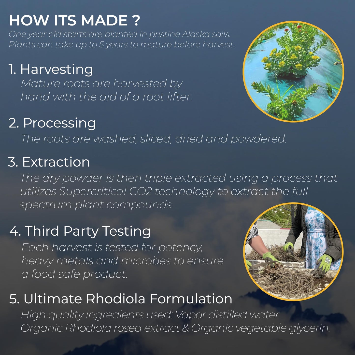 Ultimate Rhodiola® Alaska Grown, Alcohol Free, Certified Organic Rhodiola rosea Tincture, CO2 extracted, Reduce Stress, Improve Energy and Mood, Adaptogen, Nootropic, 3rd Party Tested