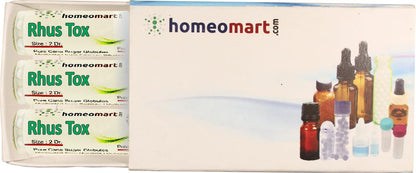 Rhus Toxicodendron Homeopathy Pellets 200C (Pack of 3) - HomeoMart