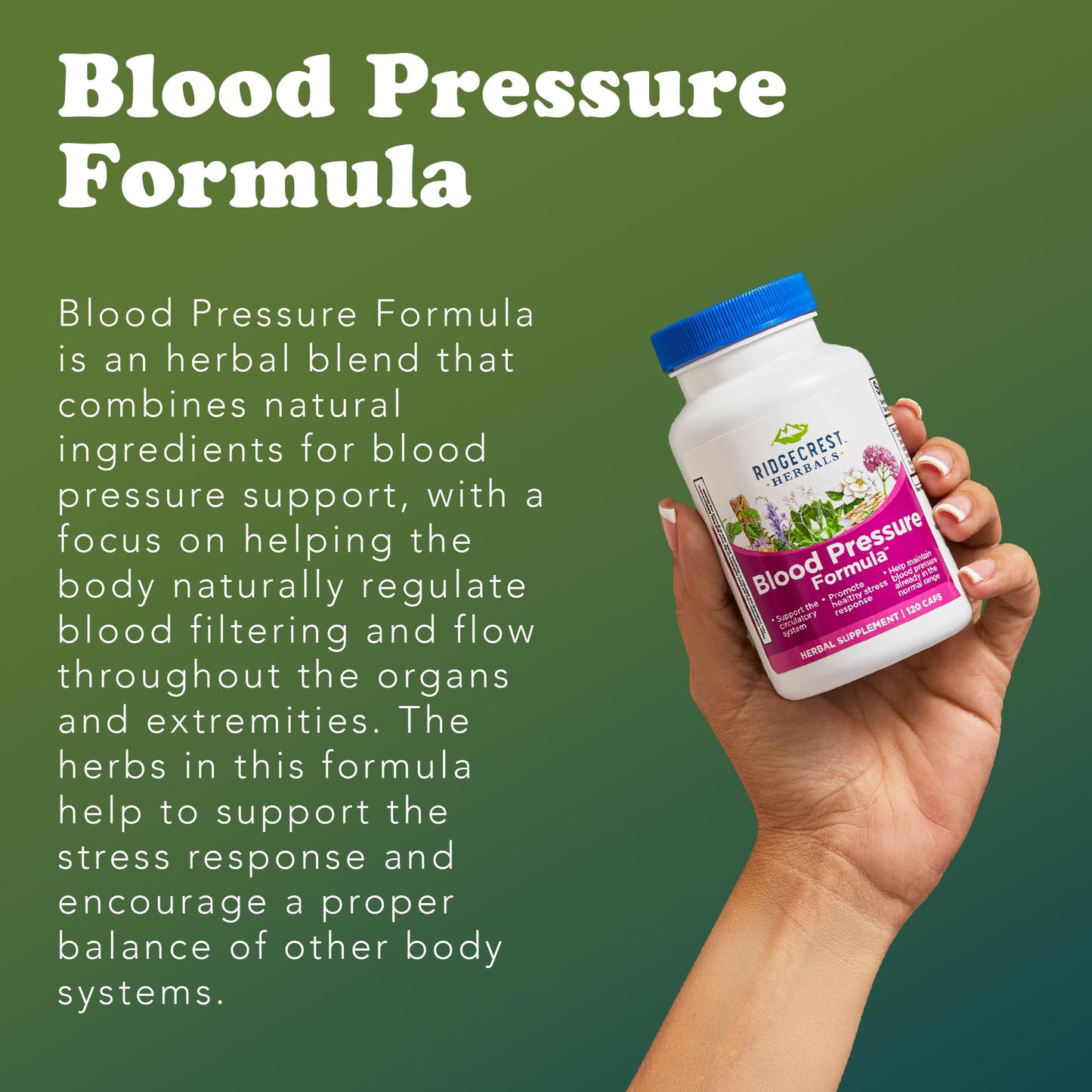 RidgeCrest Herbals Blood Pressure Formula | 12 Herbs, 120 Count