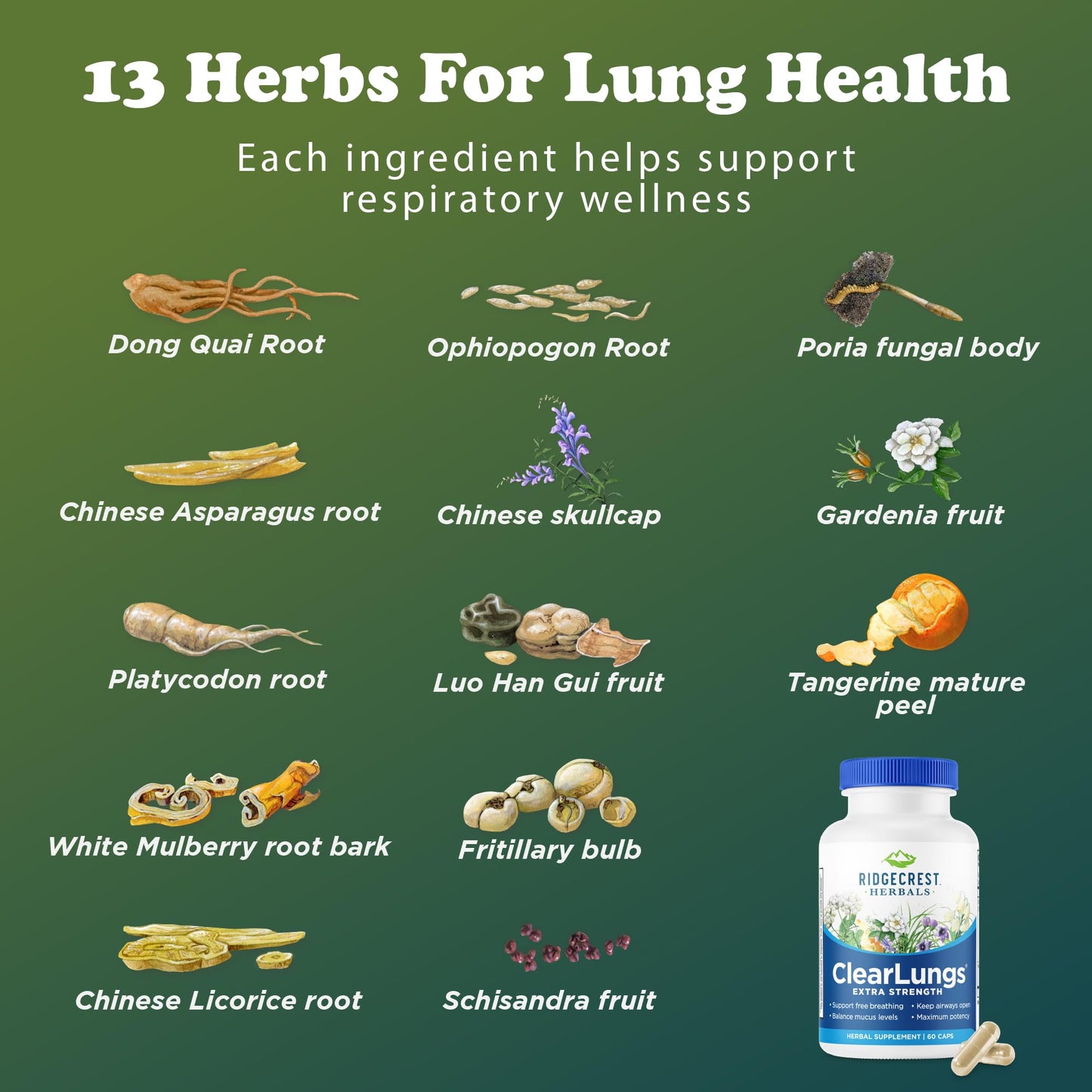 RidgeCrest ClearLungs Extra Strength – Natural Lung & Respiratory Support (60 Caps, 30 Serv)