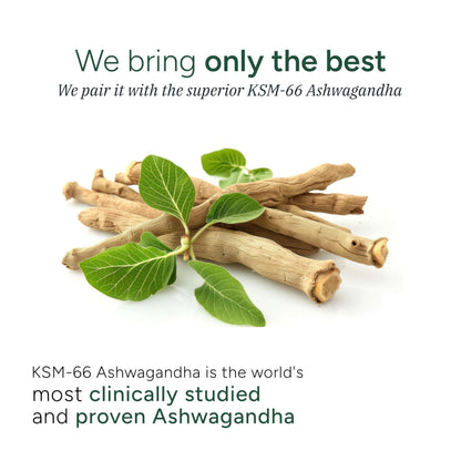 ROOT LABS Sea Moss Gummies – 92+ Minerals, KSM-66 Ashwagandha, Black Seed Oil | 60 Gummies