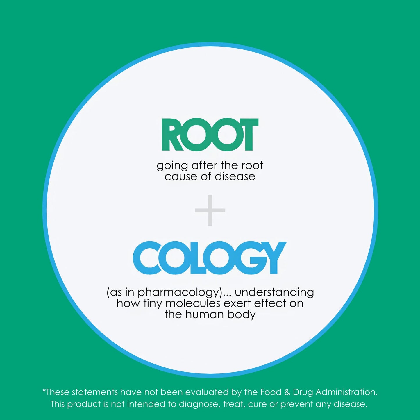 Rootcology by Dr. Izabella Wentz | Veggie Enzymes | 14-Enzyme Blend Formula for Protein, Fat & Carb Digestion | 90 Vegetarian Capsules