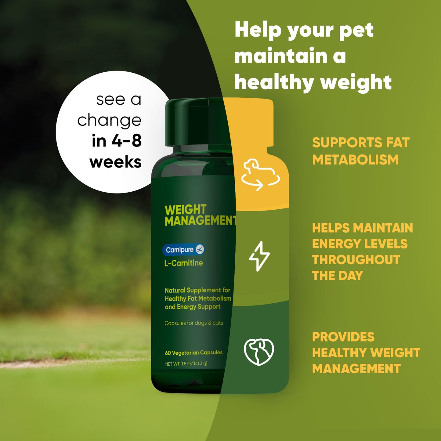 Rooted Owl Metabolism Support - L-Carnitine Supplement for Dogs & Cats to Support Healthy Weight - 60 Count