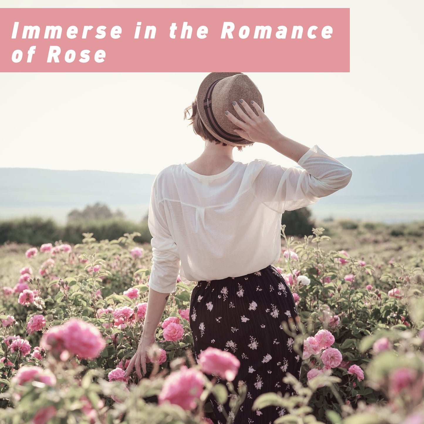 Rose Essential Oil 100ml – ESSLUX Aromatherapy for Diffuser, Massage, Candles