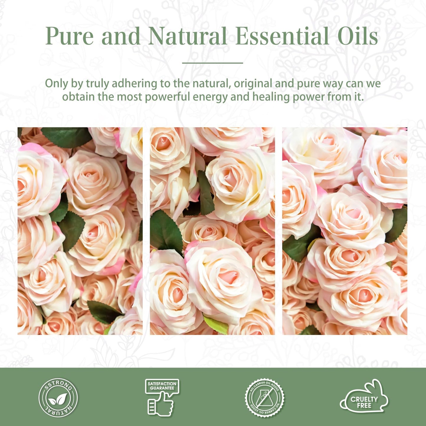 Rose Essential Oil 30ml | PHATOIL Pure Essential Oil for Diffusers & DIY
