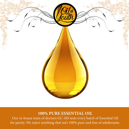 Oil of Youth Rose Geranium Essential Oil – 16oz Bulk, Pure Therapeutic Grade