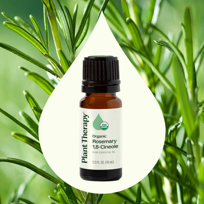 Plant Therapy Rosemary Essential Oil 100% Pure - USDA Organic, 10 mL