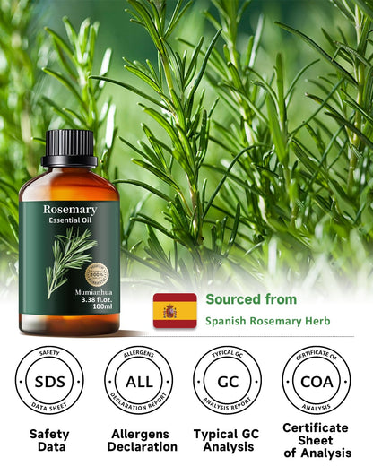 Rosemary Essential Oil Pure Mumianhua – Natural Rosemary Oil for Diffuser, Aromatherapy, Skincare, Hair & Soap Making | 3.38 Fl Oz
