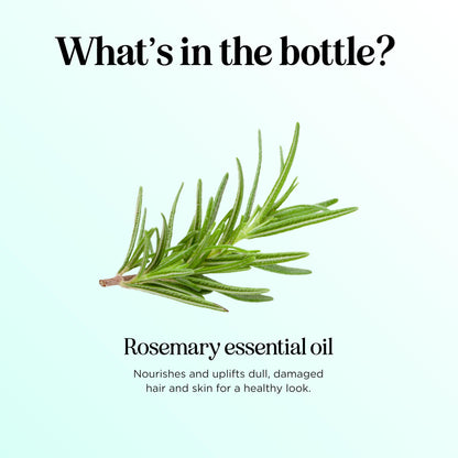 Pure Rosemary Essential Oil for Aromatherapy - Undiluted Rosemary Oil for Hair, Skin & Nails | Maple Holistics