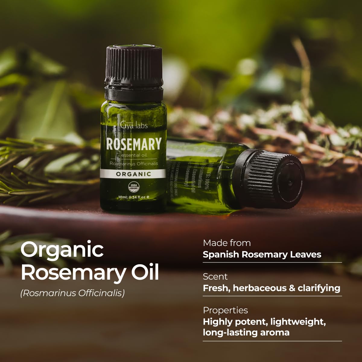 Gya Labs Organic Rosemary Essential Oil 0.34 Fl Oz - Hair, Skin, Diffuser