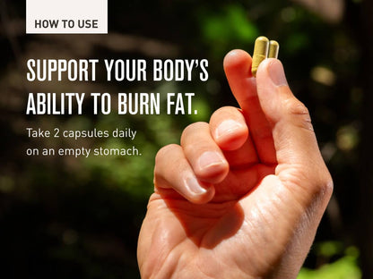 ROUNDHOUSE PROVISION Three Hit Combo – Fat Burner, Energy & Wellness (60 Capsules)