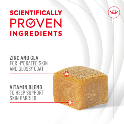 Royal Canin Skin & Coat Soft Chews for Adult Dogs – 60 Count