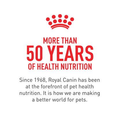 Royal Canin Skin & Coat Soft Chews for Adult Dogs – 60 Count