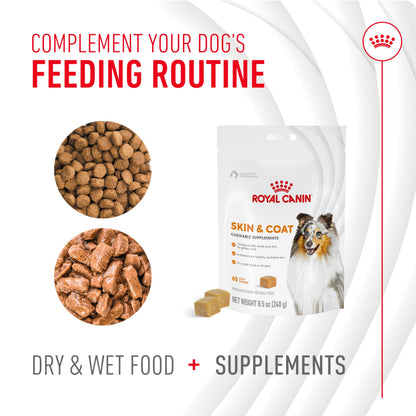 Royal Canin Skin & Coat Soft Chews for Adult Dogs – 60 Count