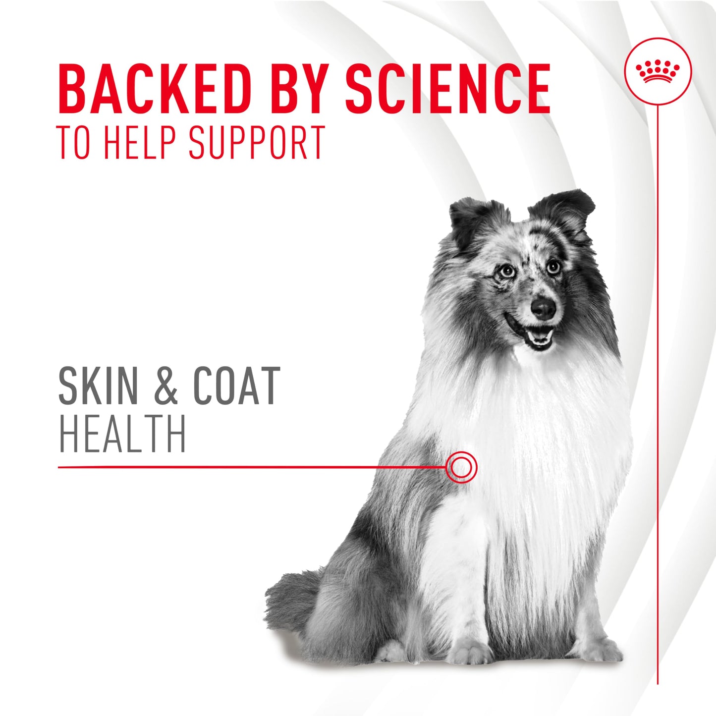 Royal Canin Skin & Coat Soft Chews for Adult Dogs – 60 Count