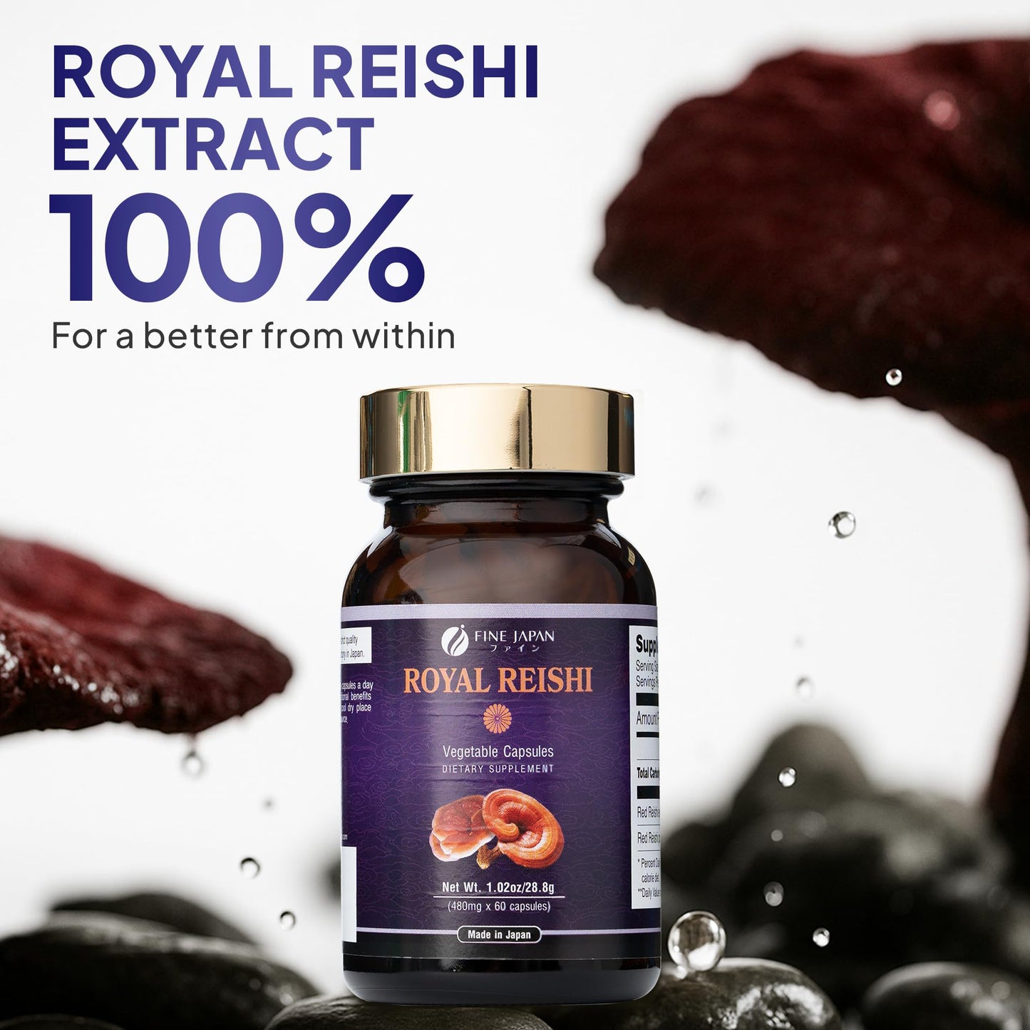 FINE JAPAN Organic Reishi Mushroom Capsules-Organic Mushroom Extract Supplement to Boost Your Immune System Health Dynamic Mushroom - 60 Capsules