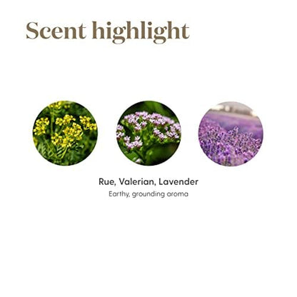 Young Living RutaVaLa Roll-On 10 ml | Calming Lavender, Valerian & Rue Blend