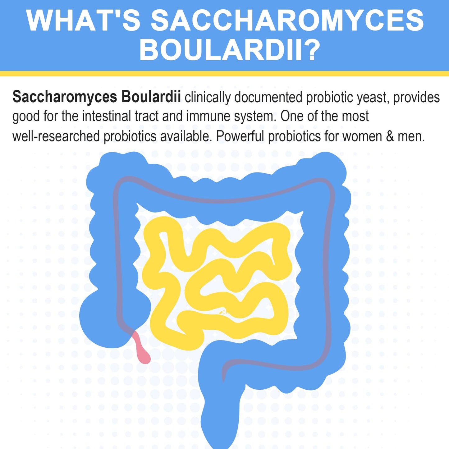 Saccharomyces boulardii Probiotic 200B CFUs – Digestive & Immune Health