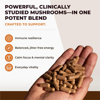 Naturealm Sacred 7 Organic Mushroom Extract Capsules – 90 Vegetarian Capsules – Immune Support & Focus