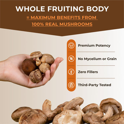 Naturealm Sacred 7 Mushroom 7-in-1 Blend Capsules – 60 Day Supply | Organic Fruiting Body Extract