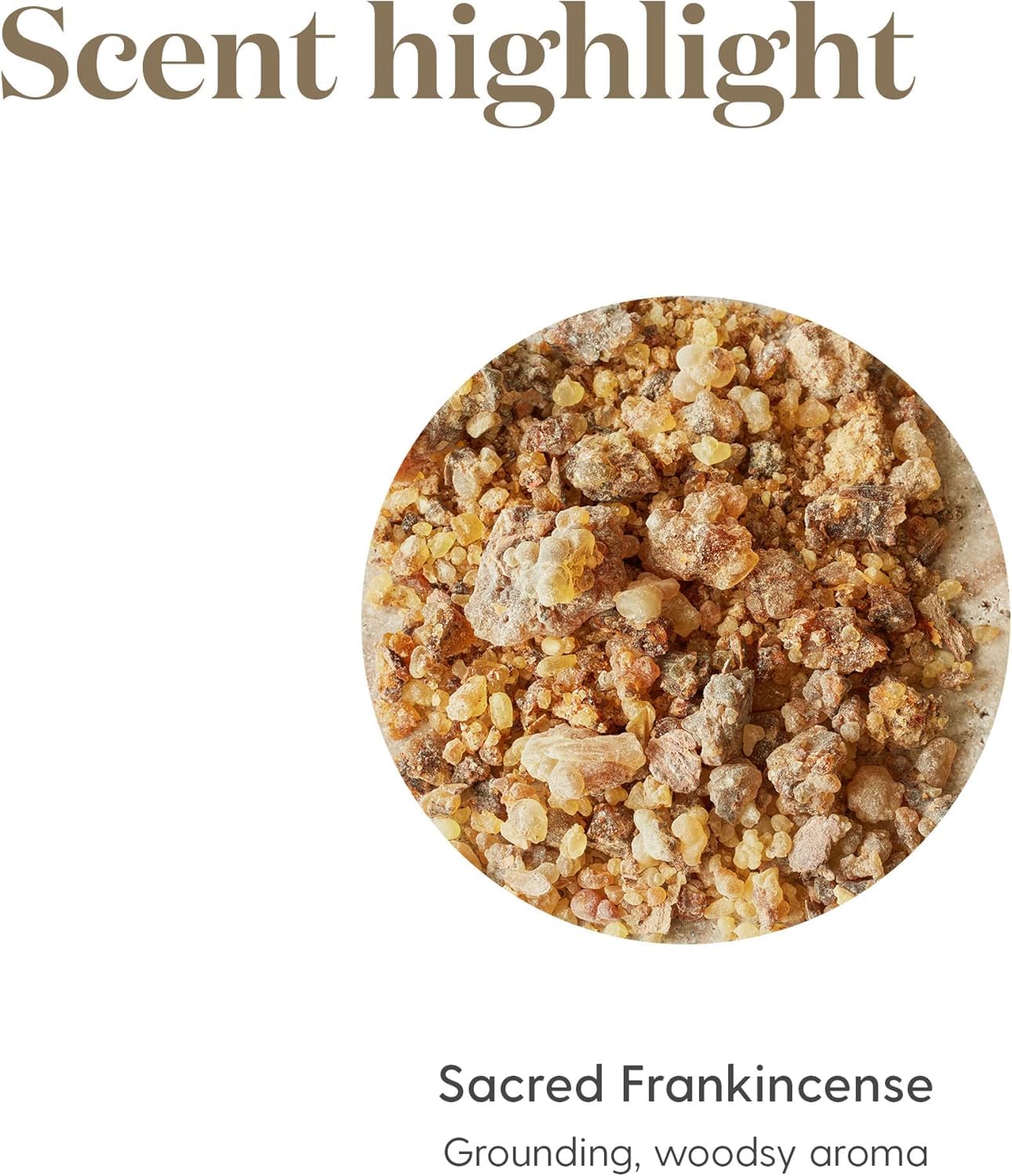 Sacred Frankincense Essential Oil 15 ml – Woodsy Aroma for Relaxation | Young Living