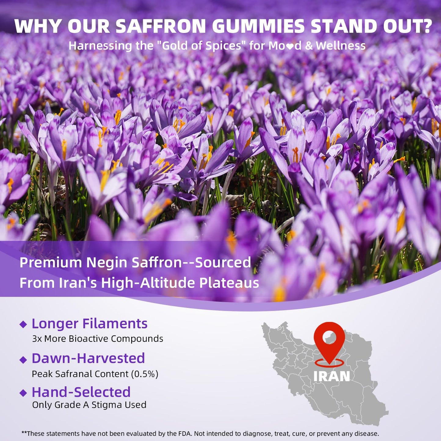 Saffron Gummies for Kids & Adults – Vision, Focus & Stress Support
