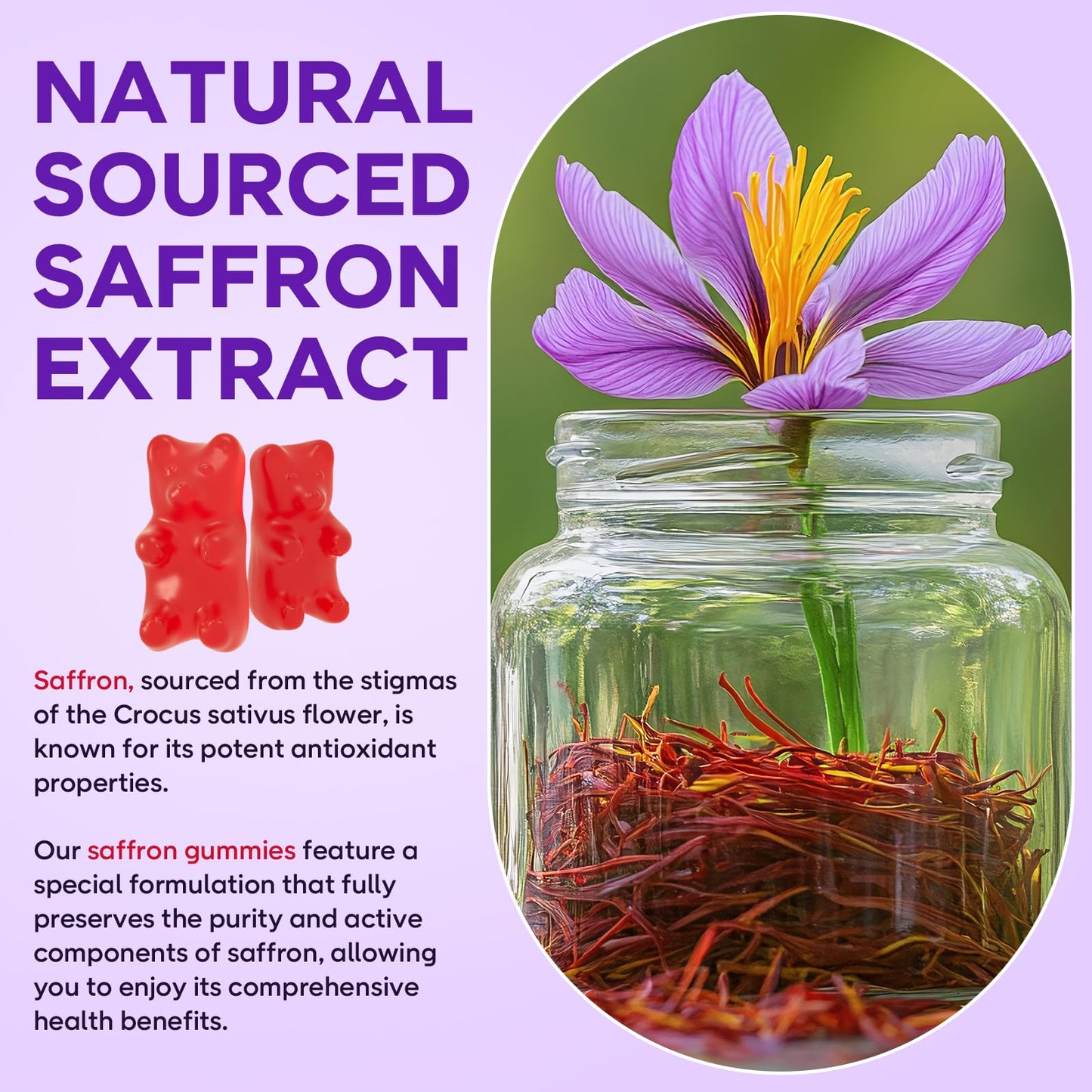 2 Pack Saffron Gummies for Kids & Adults – 10-in-1 Cortisol Support with 88.5mg Saffron, Vitamin D3, B6, Magnesium, Zinc, Ashwagandha, L-Theanine, St. John's Wort – 120 Count
