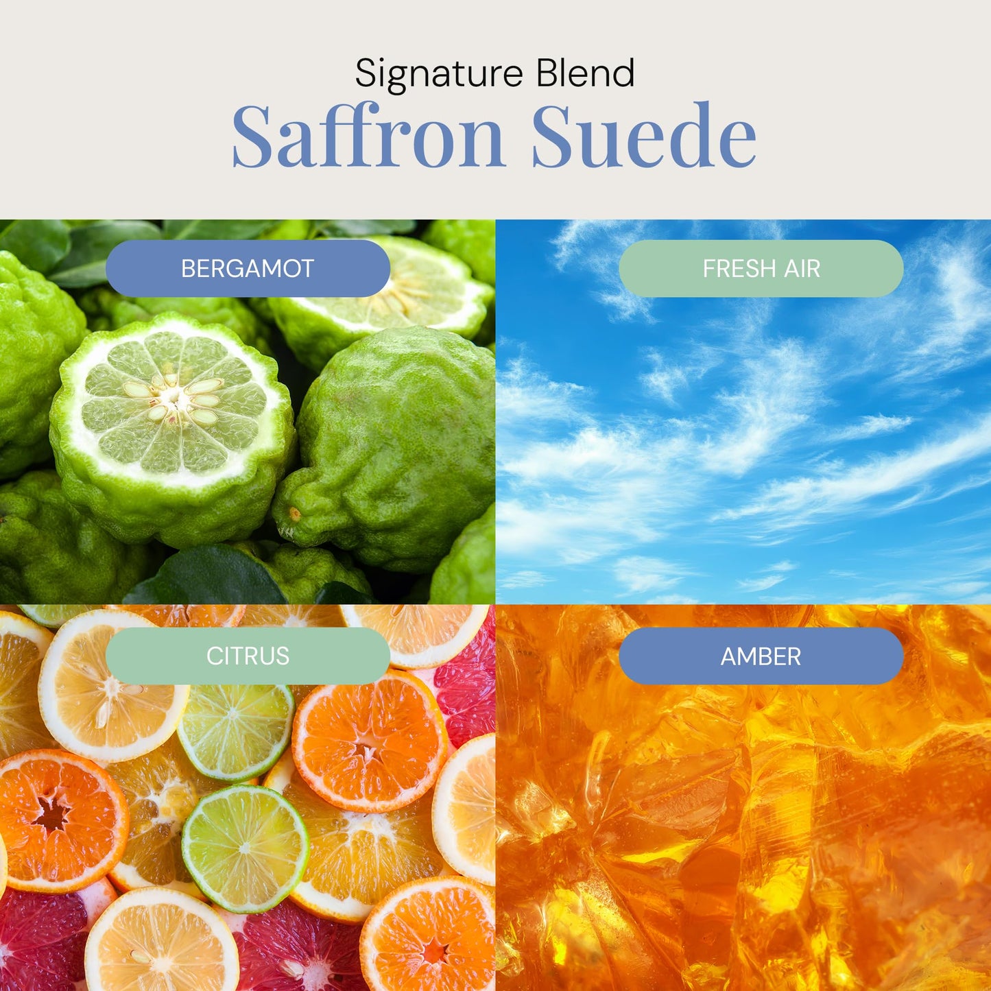 Saffron Suede Aroma Oil | Essential Oils Blend for Diffusers & Cold Air Diffusers | 300 mL