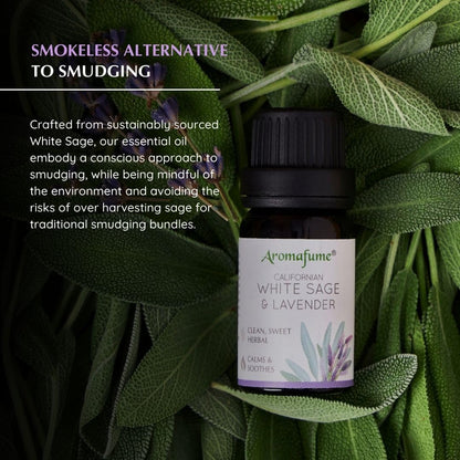 White Sage & Lavender Diffuser Blend by Aromafume – 3x10ml | Ethically Sourced