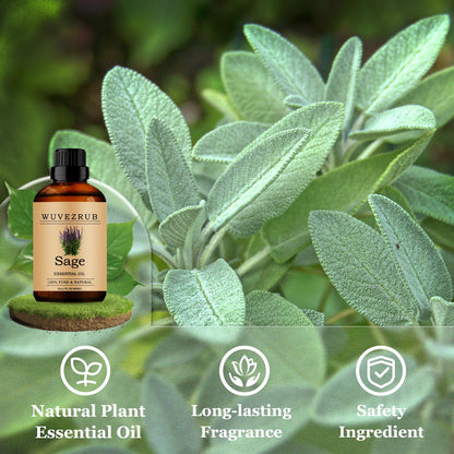 Wuvezrub Sage Essential Oil 60ml | Pure Sage for Aromatherapy & Diffusers