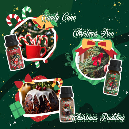 SALUBRITO Christmas Fragrance Oils Set - Winter Scents for Diffusers & Candles