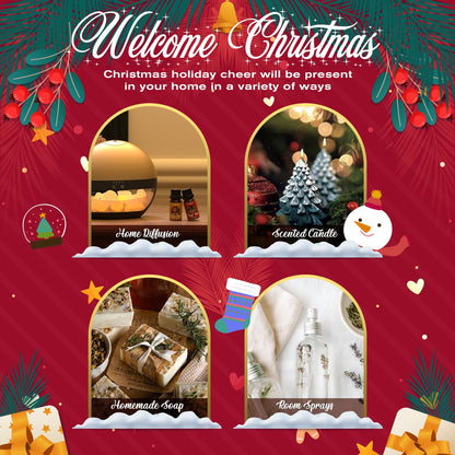 SALUBRITO Christmas Fragrance Oils Set - Winter Scents for Diffusers & Candles