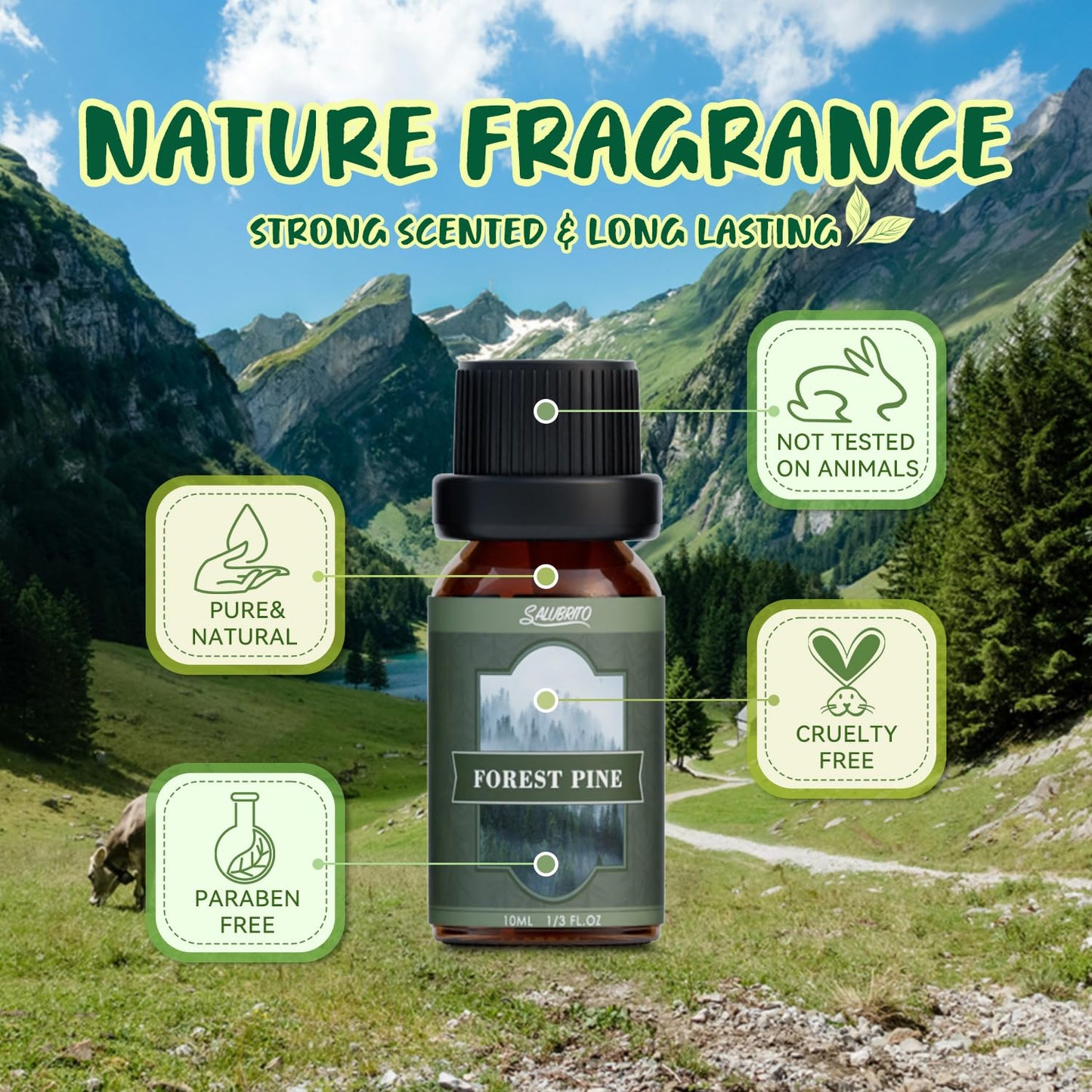SALUBRITO Nature Fragrance Oils Set – Forest Pine, Ocean Breeze, Rain & Bamboo