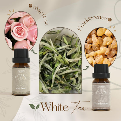 SALUBRITO Zen Fragrance Oil Set – Tea Essential Oils for Diffuser, Candle & Soap Making