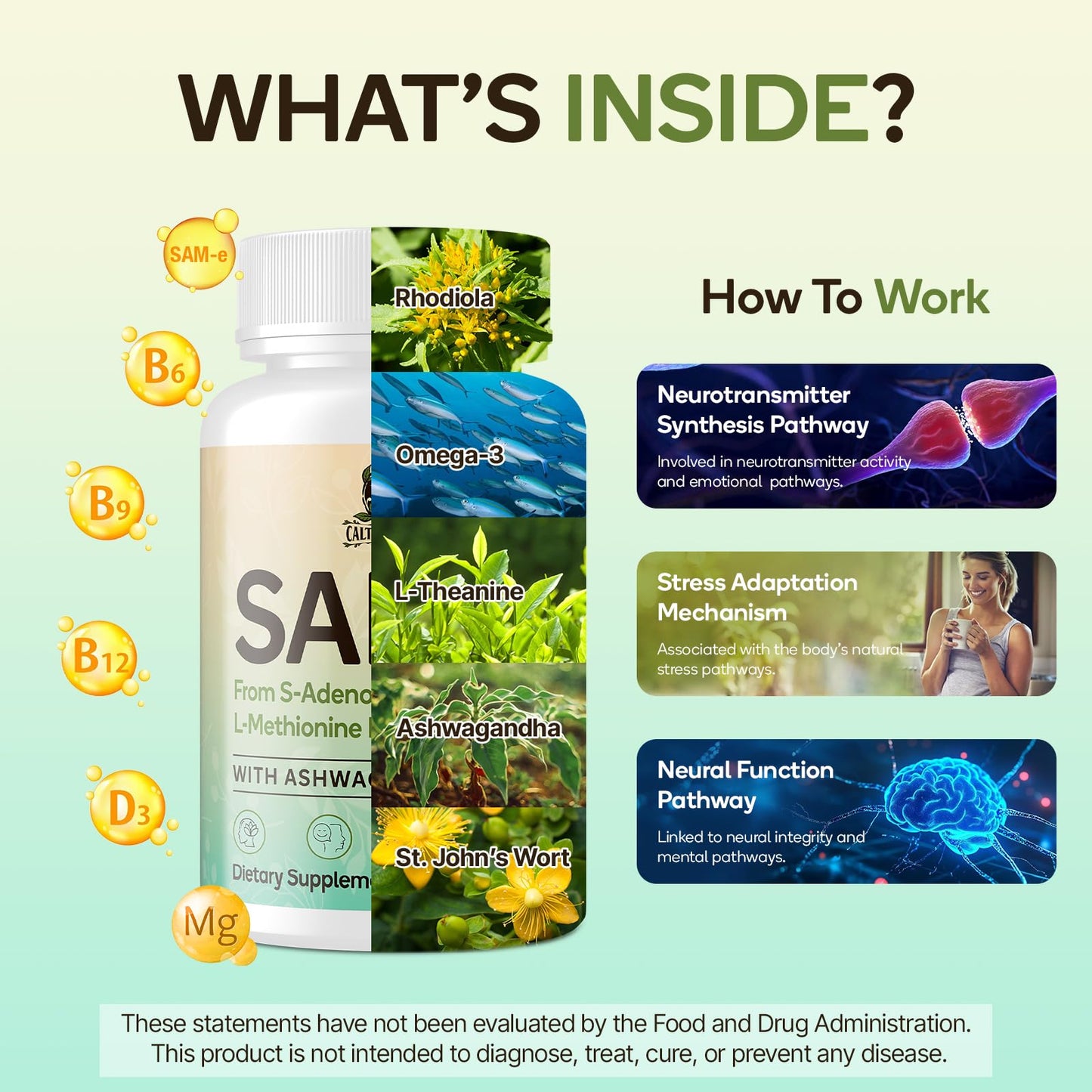 SAM-e Capsule Complex with Ashwagandha, L-Theanine, Rhodiola & St. John’s Wort – 120 Capsules