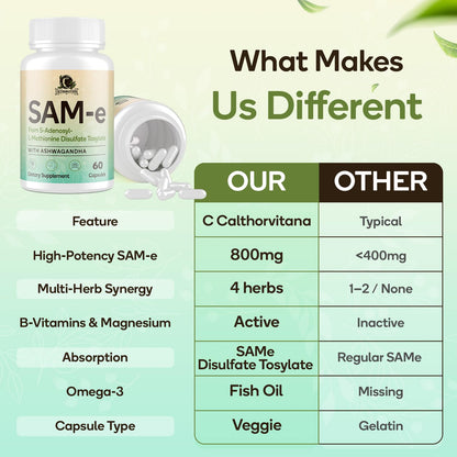 SAM-e Capsule Complex with Ashwagandha, L-Theanine, Rhodiola & St. John’s Wort – 120 Capsules