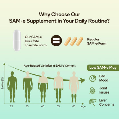 SAM-e Capsule Complex with Ashwagandha, L-Theanine, Rhodiola & St. John’s Wort – 120 Capsules