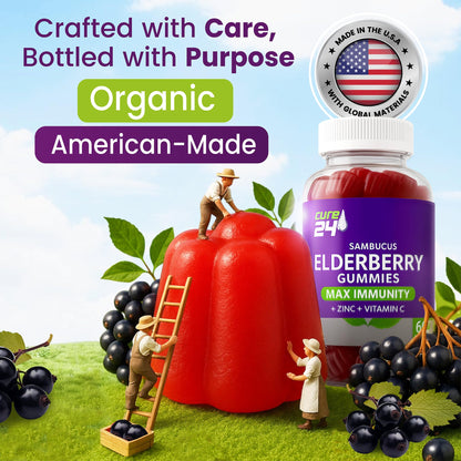 Sambucus Elderberry Gummies with Vitamin C & Zinc for Kids & Adults - 60 Gummies | Vegan, Non-GMO, Made in USA