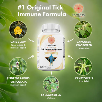 Samsara Herbs Tick Immune Support - 240 Capsules (Japanese Knotweed & Cat's Claw)
