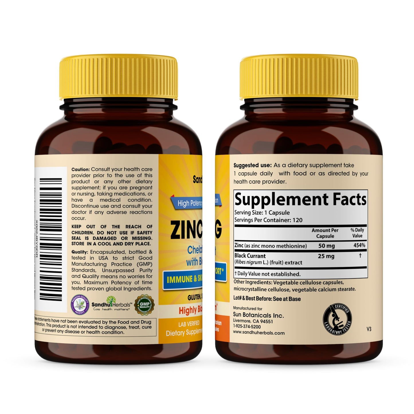 SANDHUHERBALS Zinc Supplements with Black Currant for Men and Women | Zinc 50mg 120 Vegetarian Capsules (Pack of 2) | Highly Absorbable for Immune Support | Zink 50 mg Supplement Supports Skin Health