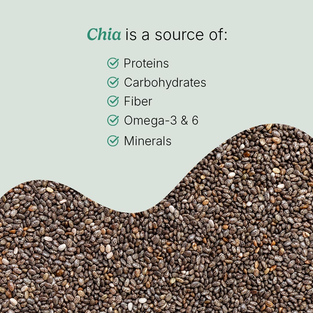 Santo Remedio Nopal Chia – Prickly Pear & Chia Powder, 120 Capsules