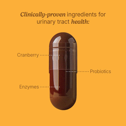 Santo Remedio Urinary Tract — Vegan Dietary Supplement for Women, Cranberries, Probiotics & Enzymes | 30 Servings