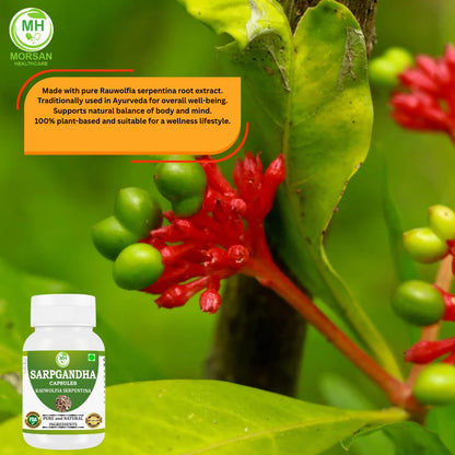 Morsan Healthcare Sarpgandha (Rauwolfia Serpentina) Capsules – 2 x 60 Veg Capsules | 500 mg Herbal Extract