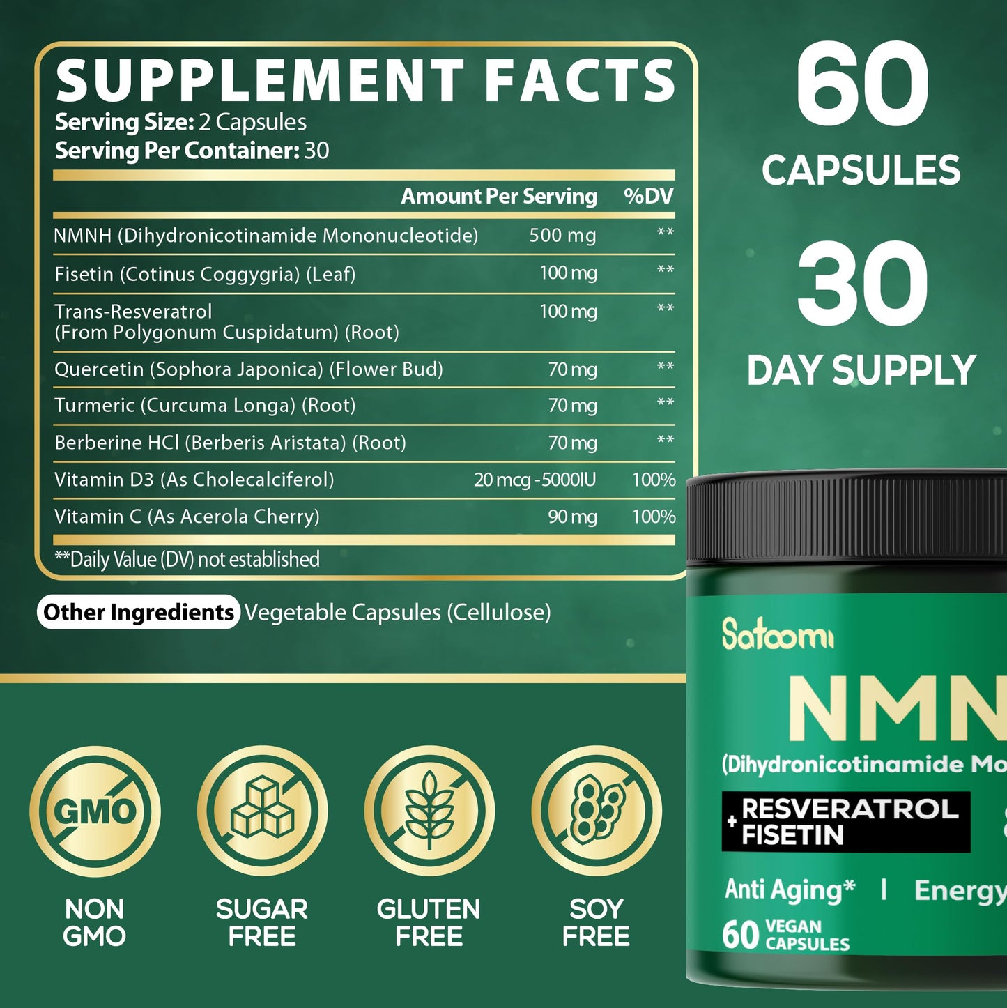 Satoomi 8in1 NMNH - NMN Supplement Alternative - NAD Supplement to Support NAD Levels Added Fisetin, Resveratrol, Quercetin, Turmeric, Berberine, Vitamin D3 & C - 60 Count for 30 Days