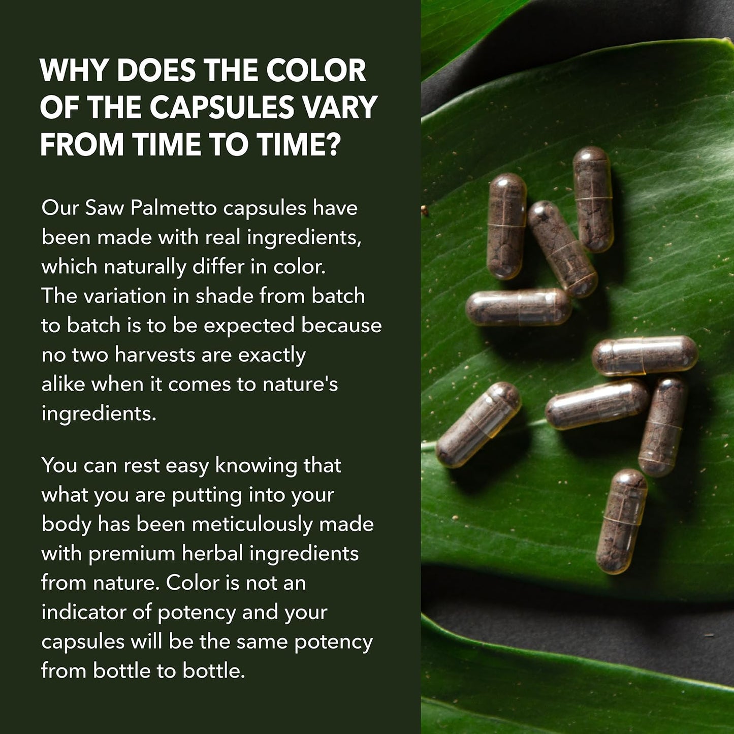HAVASU NUTRITION Saw Palmetto for Men – Prostate Support & DHT Hair Health (500mg)